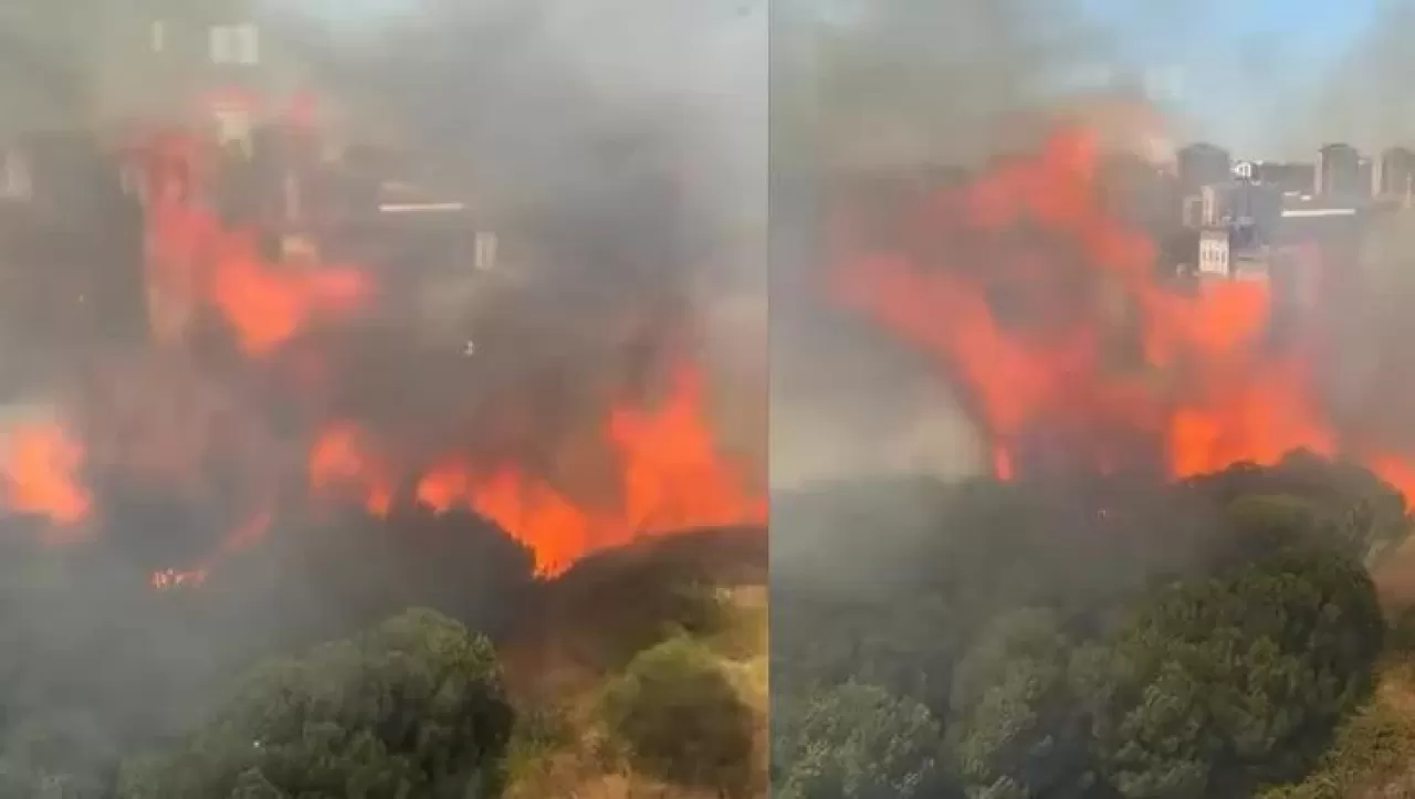 İstanbul'da Kontrol Altına Alınamayan Orman Yangınıyla Mücadele Sürüyor