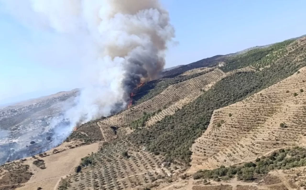 Urla'da Makilik Alanda Çıkan Yangın Kontrol Altına Alındı