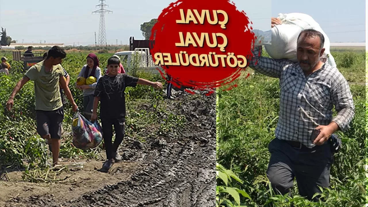 Sosyal medya üzerinden duyurulan ücretsiz karpuz ve kavun dağıtımı büyük ilgi gördü! 600 ton meyve halka bedava verildi.